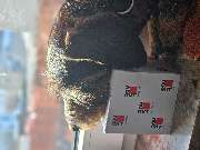 Wilhelm Schermuly Bauunternehmung & Baustoffhandel GmbH - GALLERY