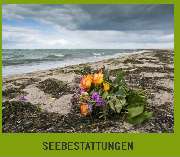 Willy Humburg & Sohn KG - GALLERY
