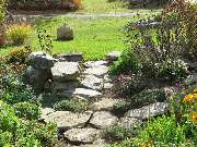 Wilms Garten- und Landschaftsbau - GALLERY