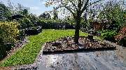 Wilusz pflegt-baut-pflanzt - GALLERY