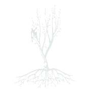 Wimmer Service - LOGO