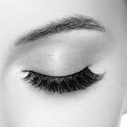 Wimpernstudio 24 Beauty Lashes - GALLERY