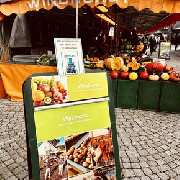 Windhorst Obst & Gemüsehandel - GALLERY