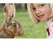 Windsheimer Klaus - GALLERY