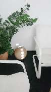 Winkler - Nachhaltige Finanzlösungen GmbH - GALLERY