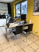 Wintec Autoglas - Freudenberger Autoglas GmbH - WTP