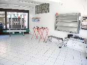 Wintec Autoglas - Jasminka Budek - WTP