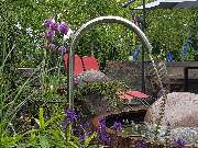 Winter Gartenbau GmbH - GALLERY