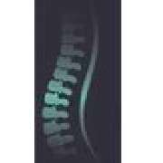 Wirbelsäulenpraxis Lübeck LindenArcaden - LOGO