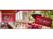 Wirtamberg Restaurant & Pension - GALLERY