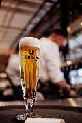 Wirtshaus am Dom Würzburg - GALLERY