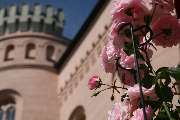 Wirtshaus am Jagdschloss Granitz - das wunderschöne Jagdschloss Granitz