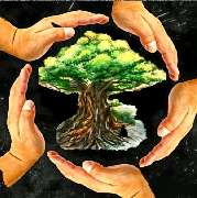 Wischcraft Sabrina Schreiner - 1