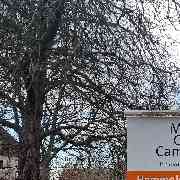 Wise Solution GmbH - GALLERY