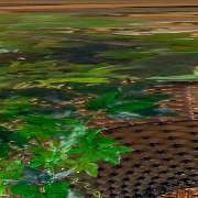 Wise Solution GmbH - GALLERY