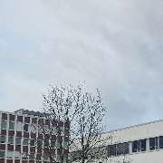 Wise Solution GmbH - GALLERY