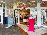 Witt Gummersbach - GALLERY