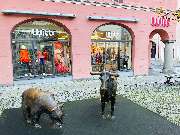 Witt Memmingen - GALLERY