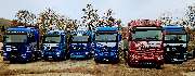 WM Transporte GmbH - GALLERY