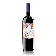 WOG GmbH - Wines of Global - GALLERY