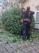 WOHNTHRON GmbH - Hausmeisterservice München - GALLERY