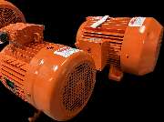 Wolf-Service - GALLERY