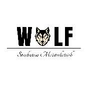 Wolf Stuckateur Meisterbetrieb - 1