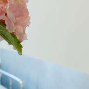 WOLFF & EDUSEI - Praxisklinik für Plastische & Ästhetische Chirurgie - GALLERY