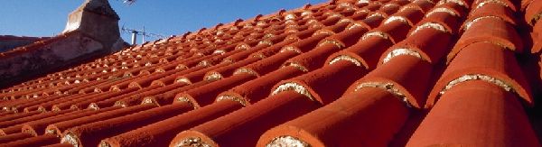 Wolfgang Braun & Andreas Braun - 1