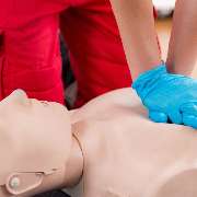 Wolfgang Schmitz Training - GALLERY