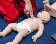 Wolfgang Schmitz Training - GALLERY