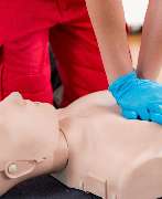 Wolfgang Schmitz Training - GALLERY