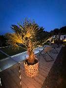 Wolfsteiner Bergchalets GbR - GALLERY