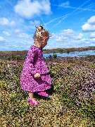 Wolle Queen - GALLERY