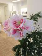 WOMEN LOUNGE Kosmetikinstitut GmbH - GALLERY