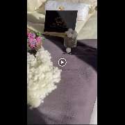 Wool Line Nürnberg - GALLERY