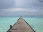 Work-Health-Service - GALLERY