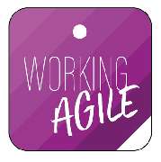 WORKING AGILE - 1