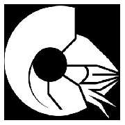 WRLZ.ai - LOGO