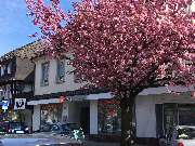 Wüstenrot Bausparkasse: Theodor Gantenbrink - GALLERY