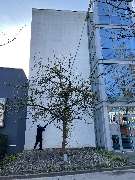 Wunsch Gebäudereinigung e.K. - GALLERY