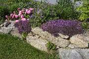 Wurm Garten- und Landschaftsbau in Mitterfels - GALLERY