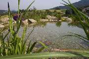 Wurm Garten- und Landschaftsbau in Mitterfels - GALLERY