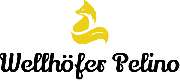 www.wellhoeferpelino.de - 1