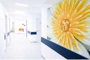 WZ-WundZentrum Krefeld - GALLERY