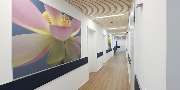 WZ-WundZentrum Landstuhl - GALLERY