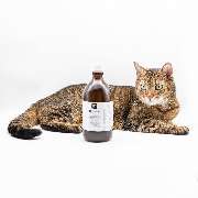 X1-Gesundheit - GALLERY