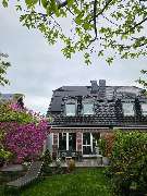 Yellowflowtaik - GALLERY