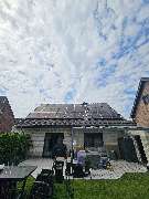 Yellowflowtaik - GALLERY