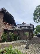 Yellowflowtaik - GALLERY